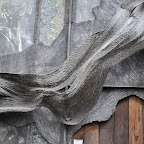 DSC_8312-2.jpg