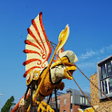IMGP1366.JPG