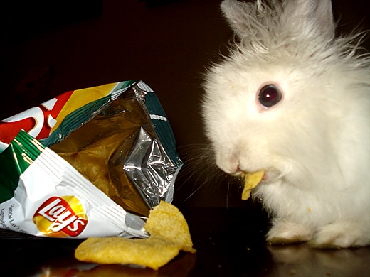 [908431_1261576124%255B15%255D.jpg]