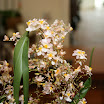 IMG_1265.JPG