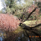 DSCN2995.JPG