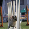 IMG_9854.JPG