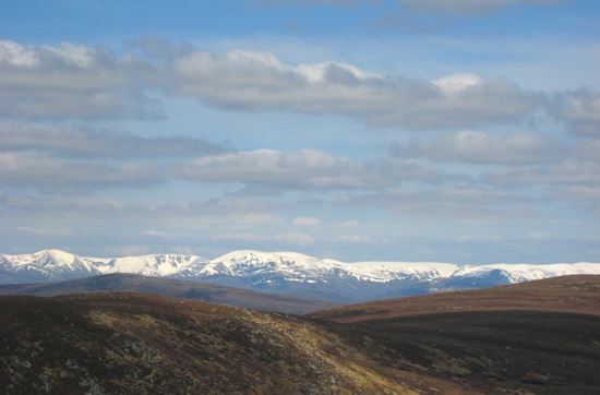 Cairngorms 01 Cairngorms 01