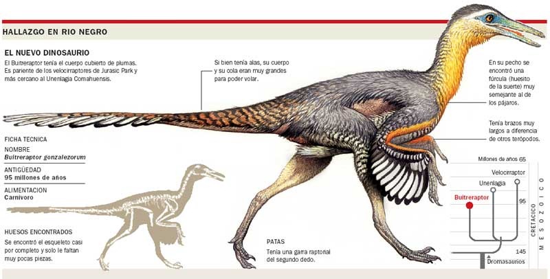 [dinosaurios%2520patagonia3%255B3%255D.jpg]