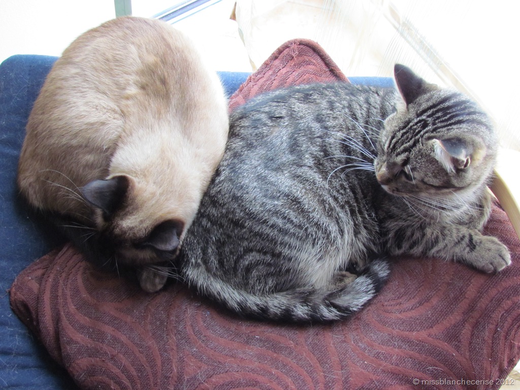 [IMG_4066%255B7%255D.jpg]