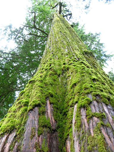 Prince George Canada