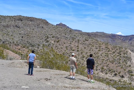 Looking for the bighorn sheep