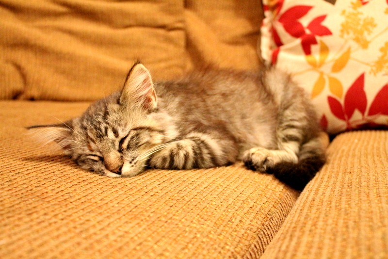 [IMG_0066%255B3%255D.jpg]