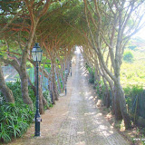Driveway to Morada do Sol