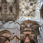 DSC_8960.jpg