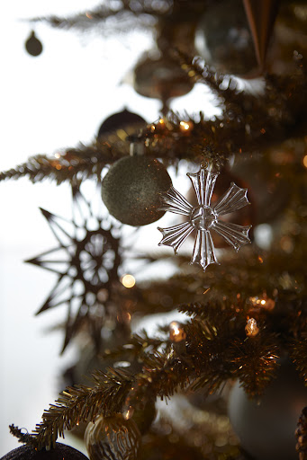Crystal clear snowflakes are so lovely during the day, when they reflect the sunlight.