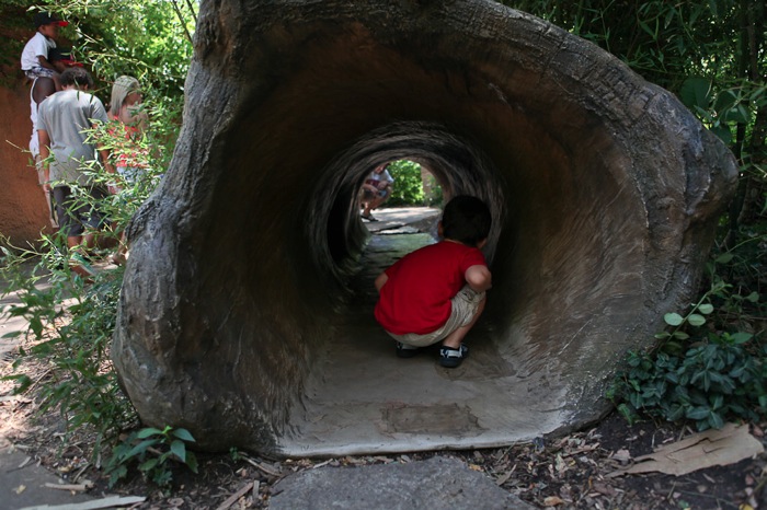 Zoo 9