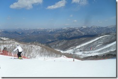 SAM_0082 SAM_0082