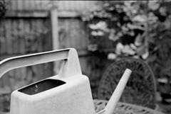 The-Watering-Can
