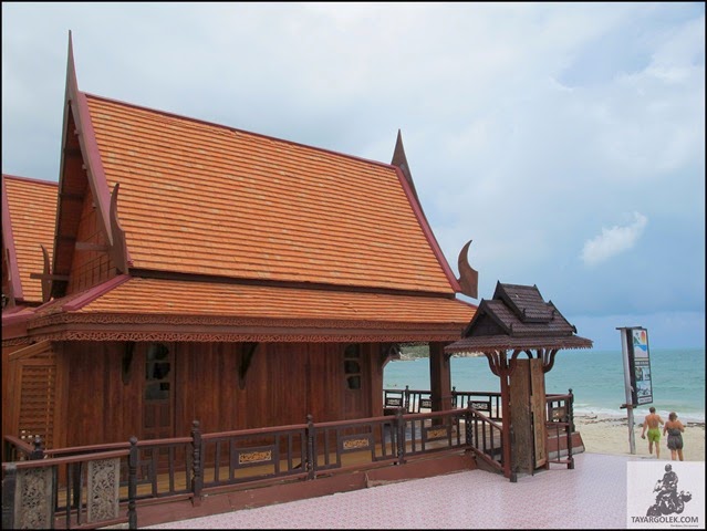[IMG_78682.jpg]