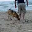 Lake Huron-08.jpg