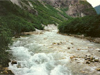 Rapids in Norway Rapids in Norway