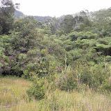 The difficult-to-find start of the trail for Beuticanar (Daniel Quinn, June 2010) The difficult-to-find start of the trail for Beuticanar (Daniel Quinn, June 2010)
