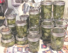 B.B pickles 3 batches all done