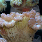 DSC_2097.jpg