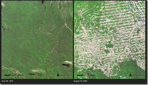 Deforestación - Brasil Deforestación - Brasil