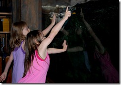 aliandsadi08012011-4