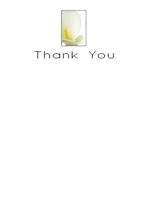 Flat Thank You Card
