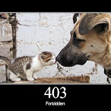 403.jpg