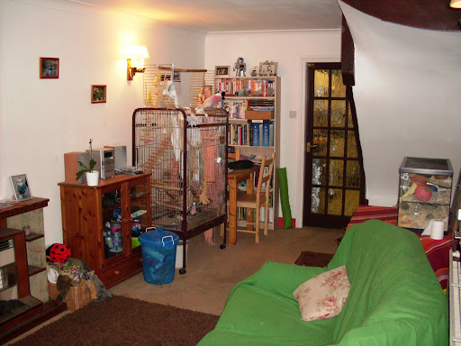 Gallery Photo #14