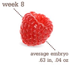 week8 week8