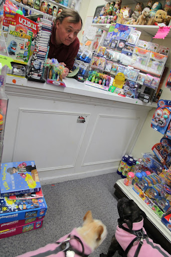 Bonjour,  Phillippe!  Would it be possible to pay for a toy with doggie treats?  Or perhaps we could offer our services as guard dogs?