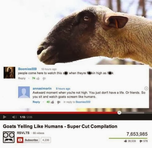 [funny-youtube-comments-13%255B3%255D.jpg]