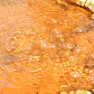 DSCN0282.JPG