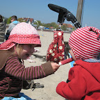 IMG_2501.JPG