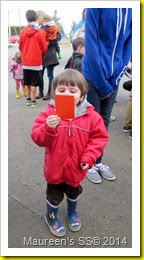 IMG_1656 IMG_1656