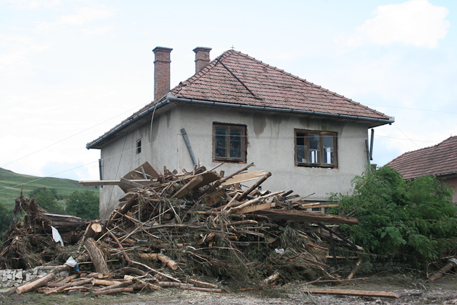 arviz2005_15.jpg
