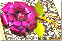 IMG_2568 - Copy IMG_2568 - Copy