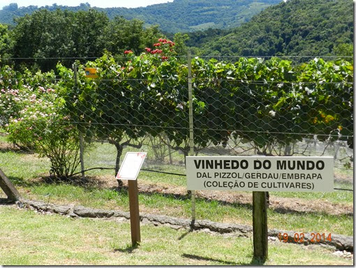 DSCN6493 DSCN6493