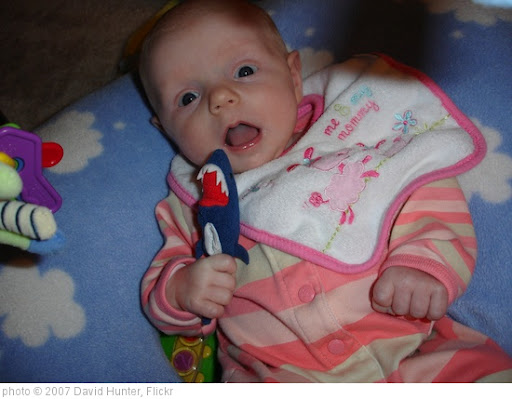 'Baby Eating Shark' photo (c) 2007, David Hunter - license: http://creativecommons.org/licenses/by/2.0/