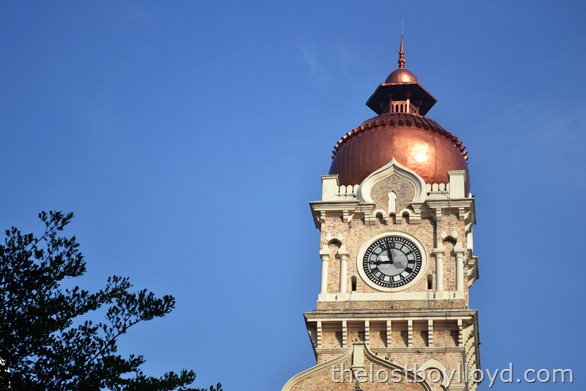 _DSC_0216 _DSC_0216