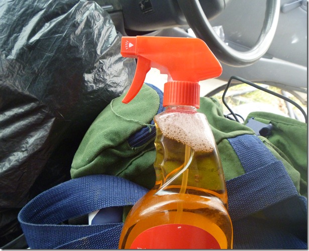 Lewis camera january 2012 084