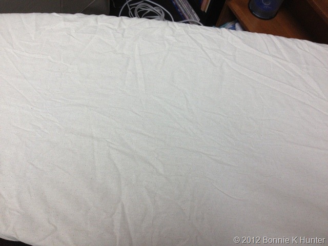 [stringgeese-0325.jpg]