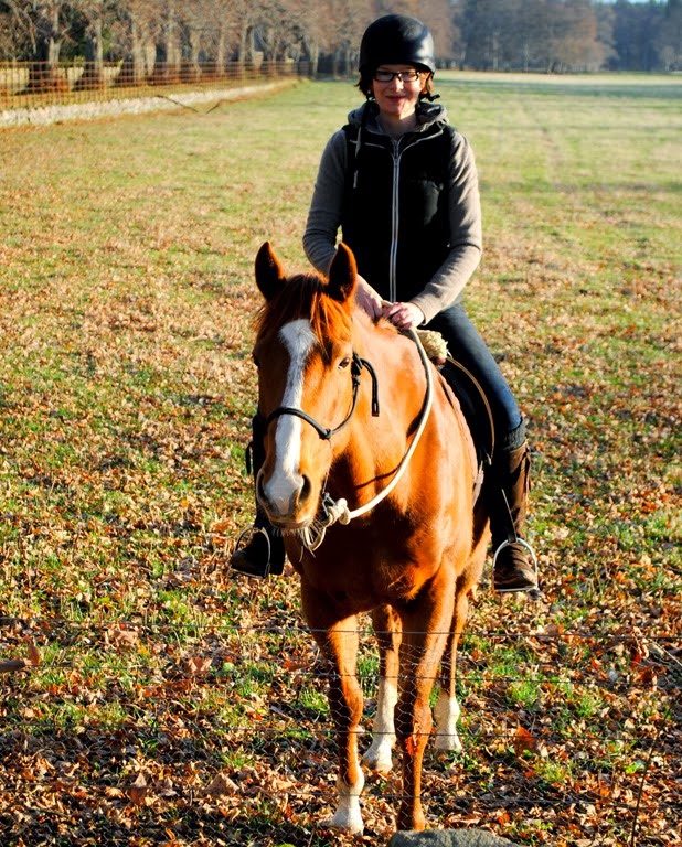 [13%2520Dec%25202%255B3%255D.jpg]