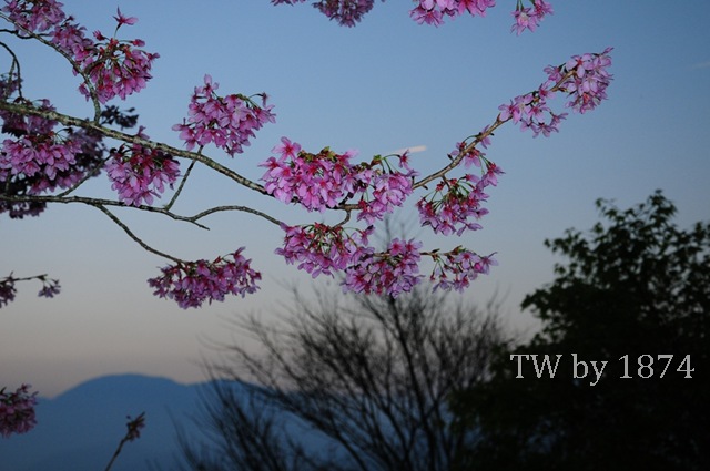 [DSC_5117%255B6%255D.jpg]