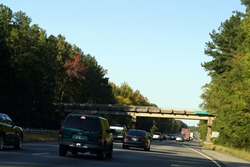 Virginia Trip- October 2011 008