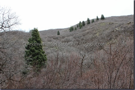 IMG_2403 IMG_2403