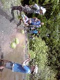 田植えｎｏｗ