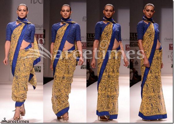 Chitrangada_Singh_Flora_Sari