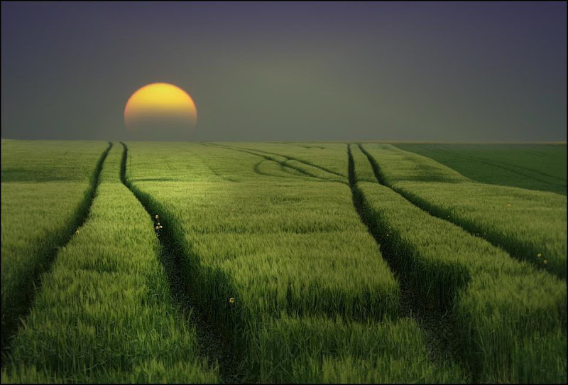 digiart fotografie & design