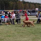 Abi - DSC05325.JPG